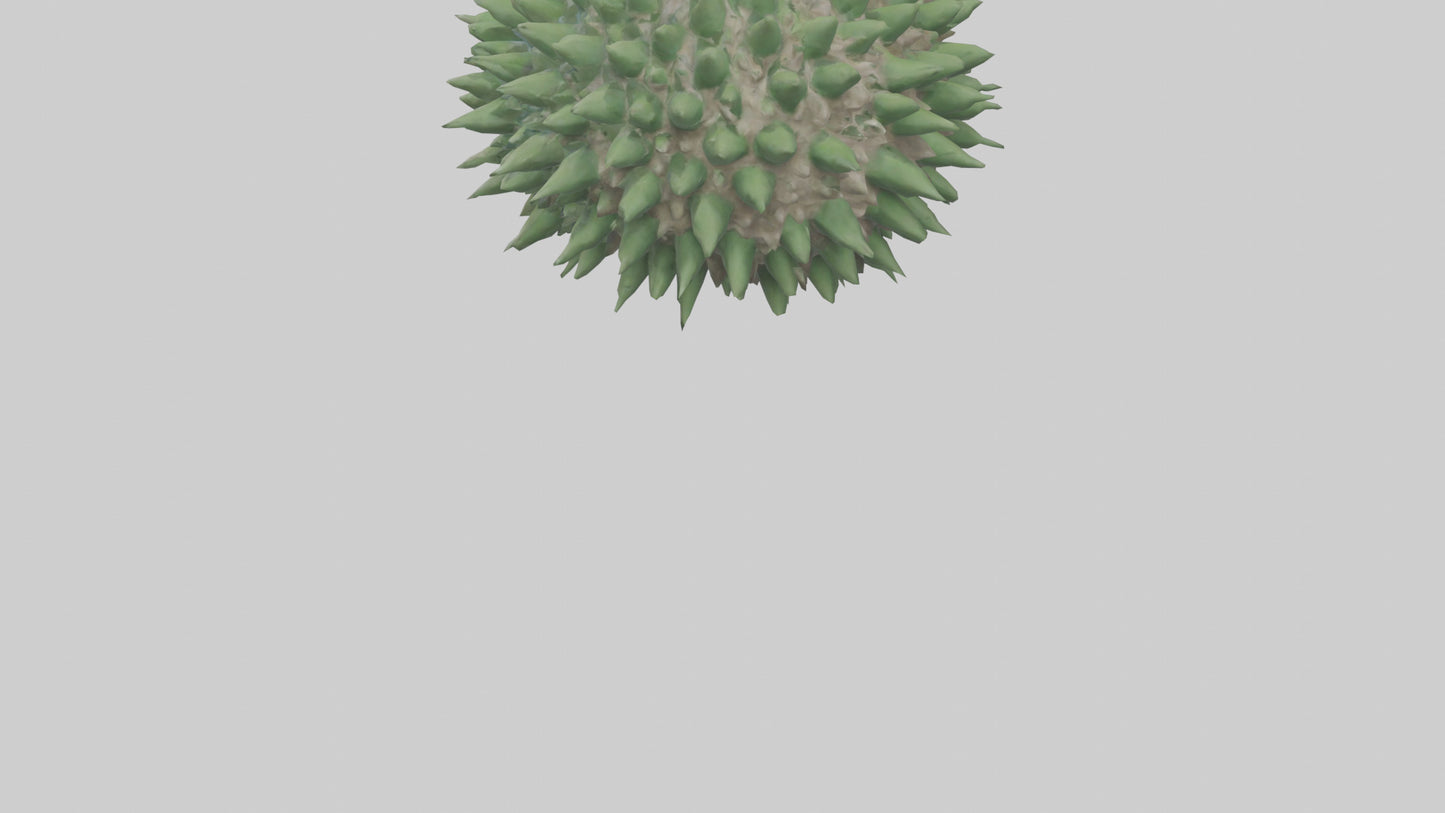 3D model Green Sea Urchin resting model VR / AR / low-poly