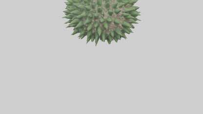 3D model Green Sea Urchin resting model VR / AR / low-poly