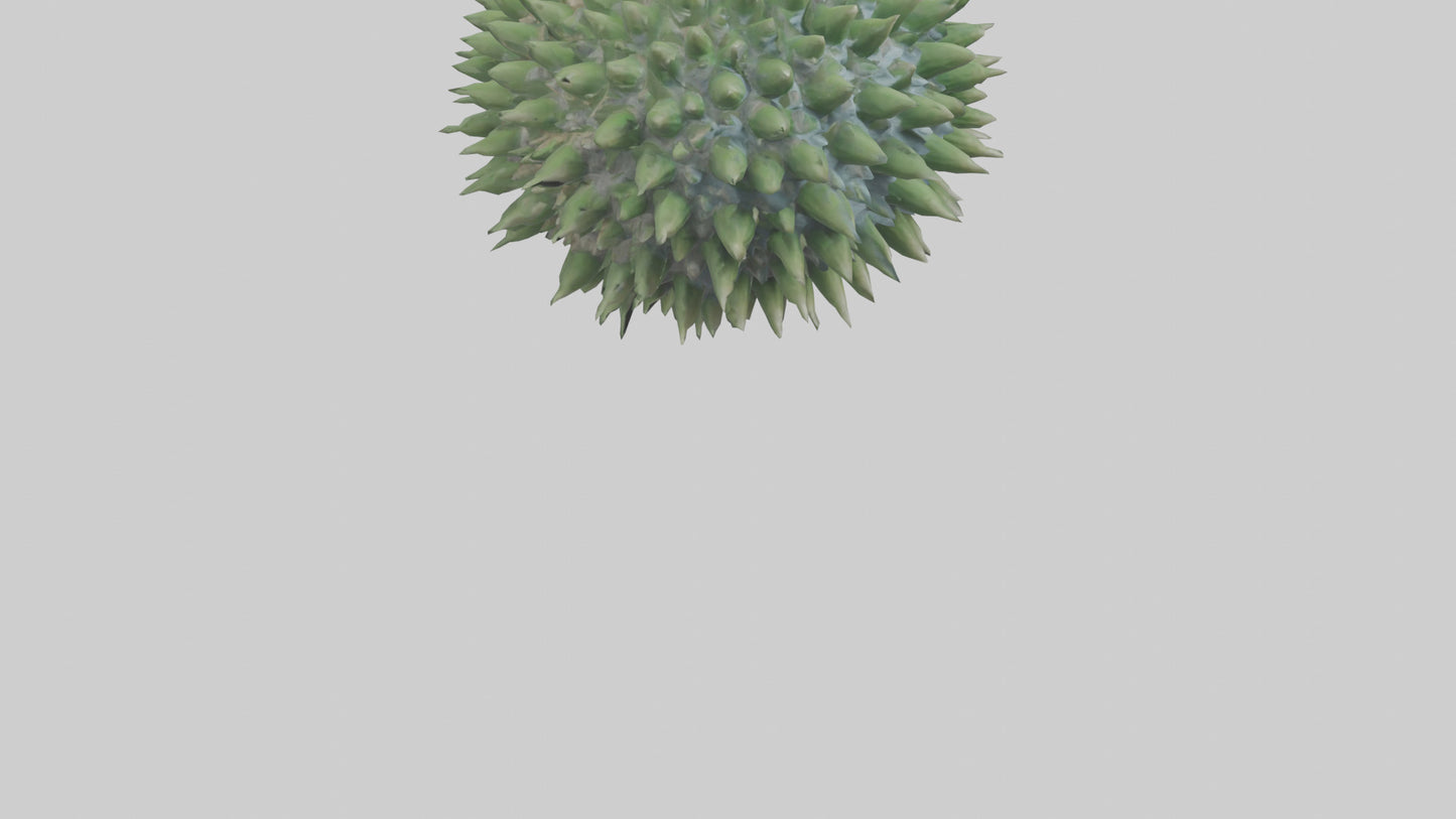 3D model Green Sea Urchin resting model VR / AR / low-poly
