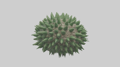 3D model Green Sea Urchin resting model VR / AR / low-poly