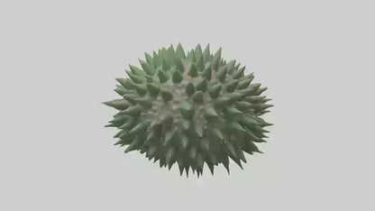 3D model Green Sea Urchin resting model VR / AR / low-poly