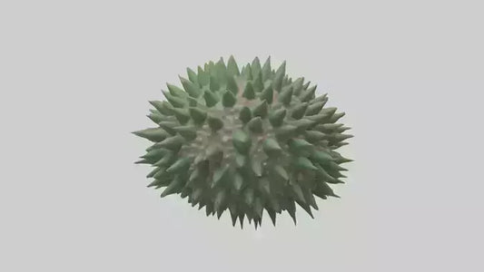 3D model Green Sea Urchin resting model VR / AR / low-poly