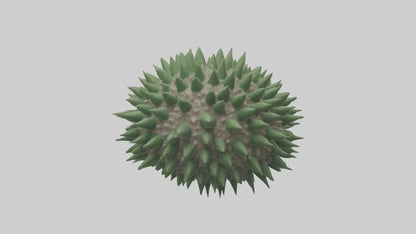 3D model Green Sea Urchin resting model VR / AR / low-poly
