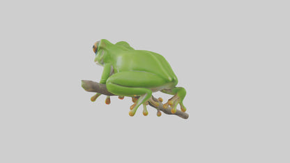 3D model Green Tree Frog sitting model VR / AR / low-poly