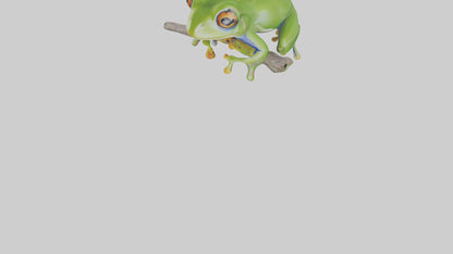 3D model Green Tree Frog sitting model VR / AR / low-poly