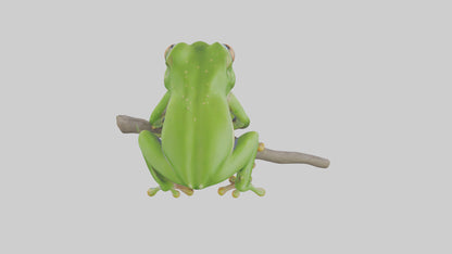 3D model Green Tree Frog sitting model VR / AR / low-poly