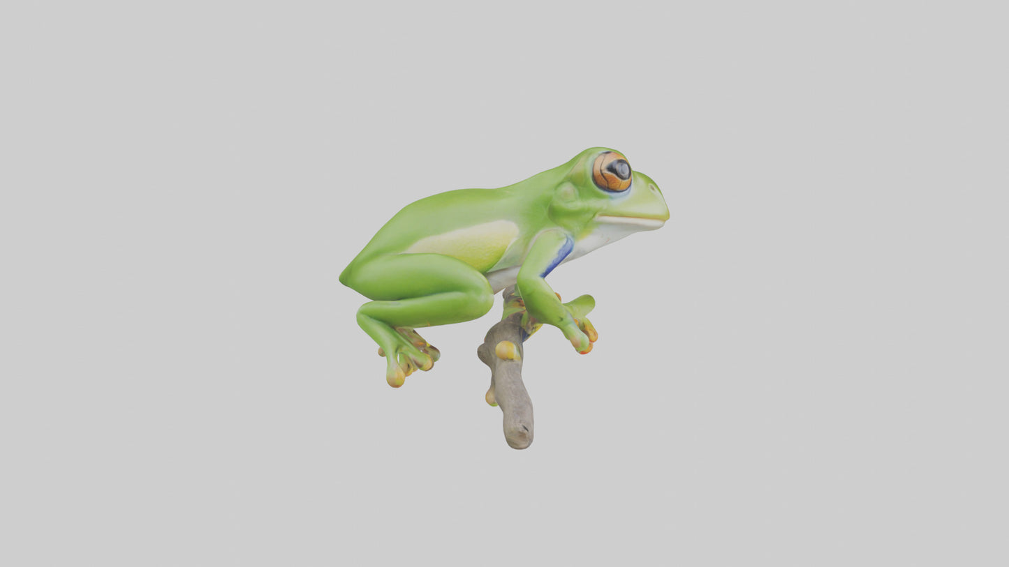 3D model Green Tree Frog sitting model VR / AR / low-poly