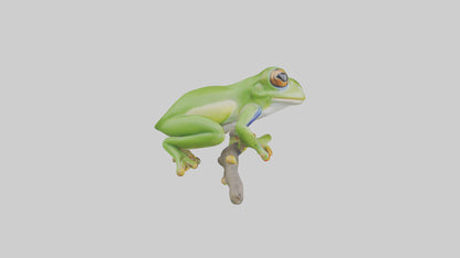 3D model Green Tree Frog sitting model VR / AR / low-poly