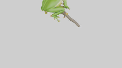 3D model Green Tree Frog sitting model VR / AR / low-poly