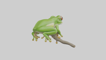 3D model Green Tree Frog sitting model VR / AR / low-poly