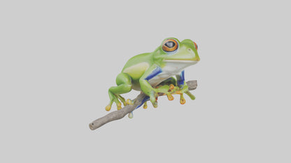 3D model Green Tree Frog sitting model VR / AR / low-poly