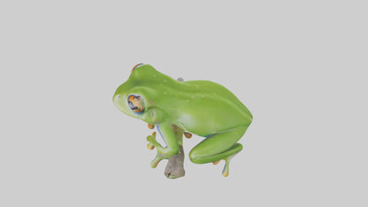3D model Green Tree Frog sitting model VR / AR / low-poly