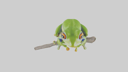 3D model Green Tree Frog sitting model VR / AR / low-poly