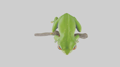 3D model Green Tree Frog sitting model VR / AR / low-poly
