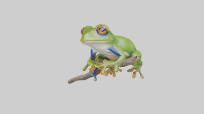 3D model Green Tree Frog sitting model VR / AR / low-poly