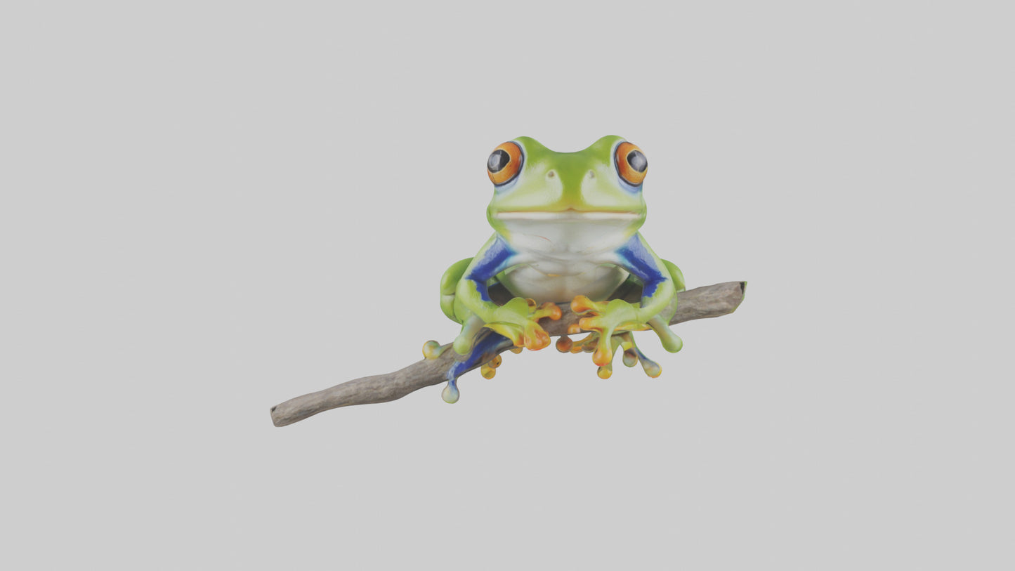 3D model Green Tree Frog sitting model VR / AR / low-poly