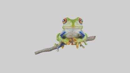 3D model Green Tree Frog sitting model VR / AR / low-poly
