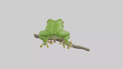 3D model Green Tree Frog sitting model VR / AR / low-poly