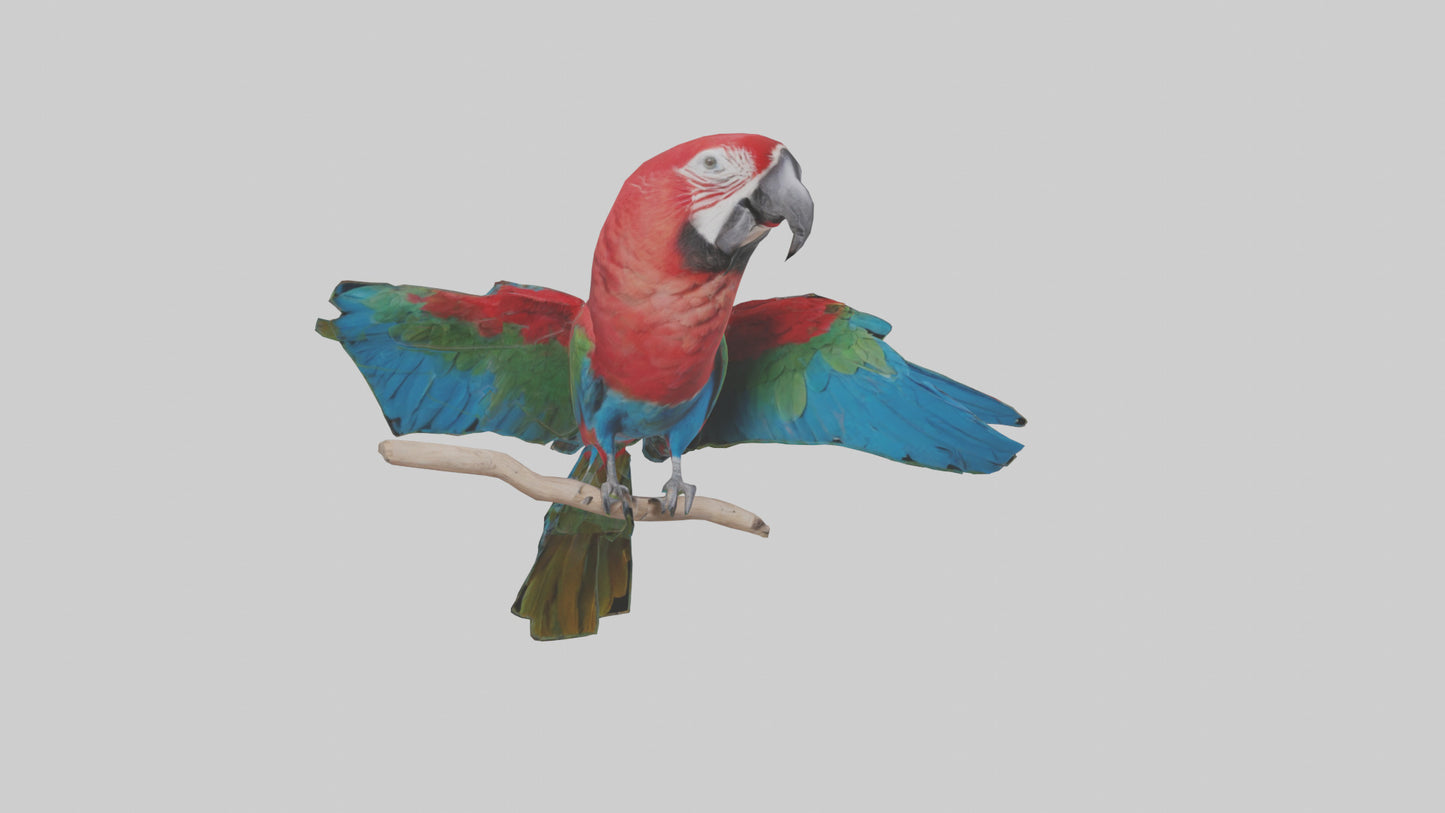 Greenwinged Macaw perched model VR / AR / low-poly