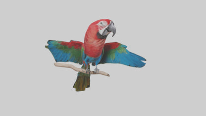 Greenwinged Macaw perched model VR / AR / low-poly