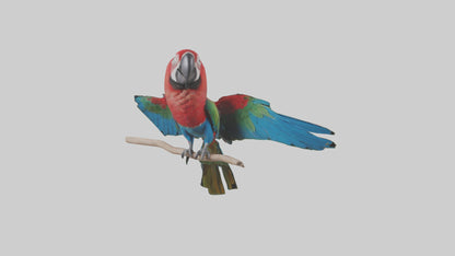Greenwinged Macaw perched model VR / AR / low-poly