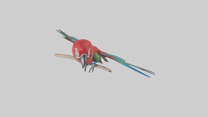 Greenwinged Macaw perched model VR / AR / low-poly