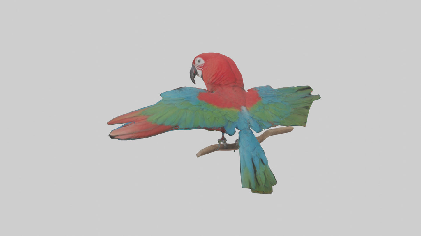 Greenwinged Macaw perched model VR / AR / low-poly
