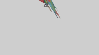 Greenwinged Macaw perched model VR / AR / low-poly