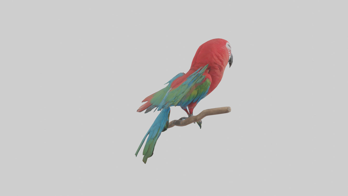 Greenwinged Macaw perched model VR / AR / low-poly