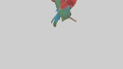 Greenwinged Macaw perched model VR / AR / low-poly