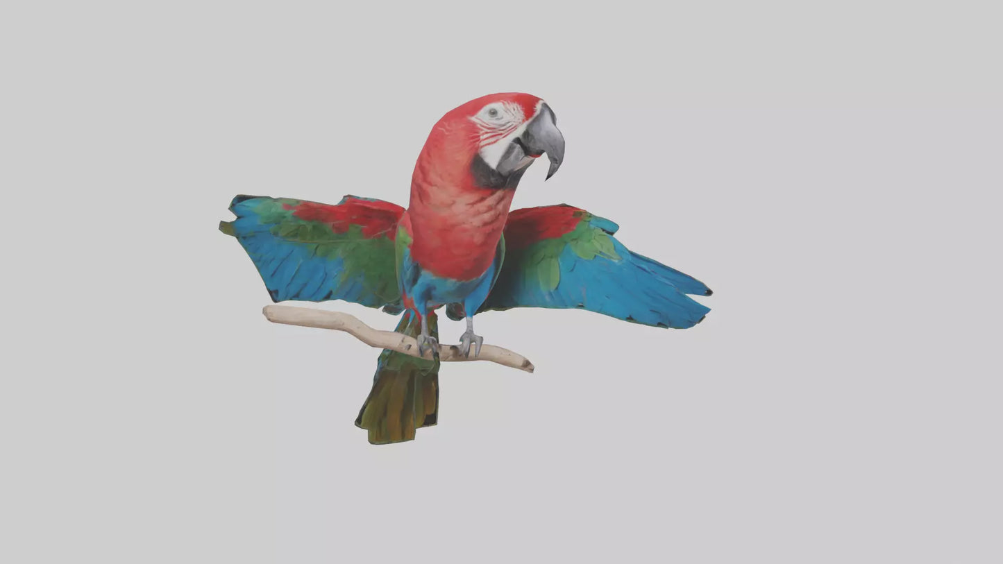 Greenwinged Macaw perched model VR / AR / low-poly