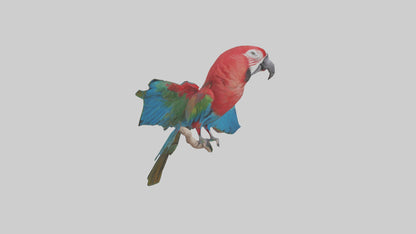 Greenwinged Macaw perched model VR / AR / low-poly