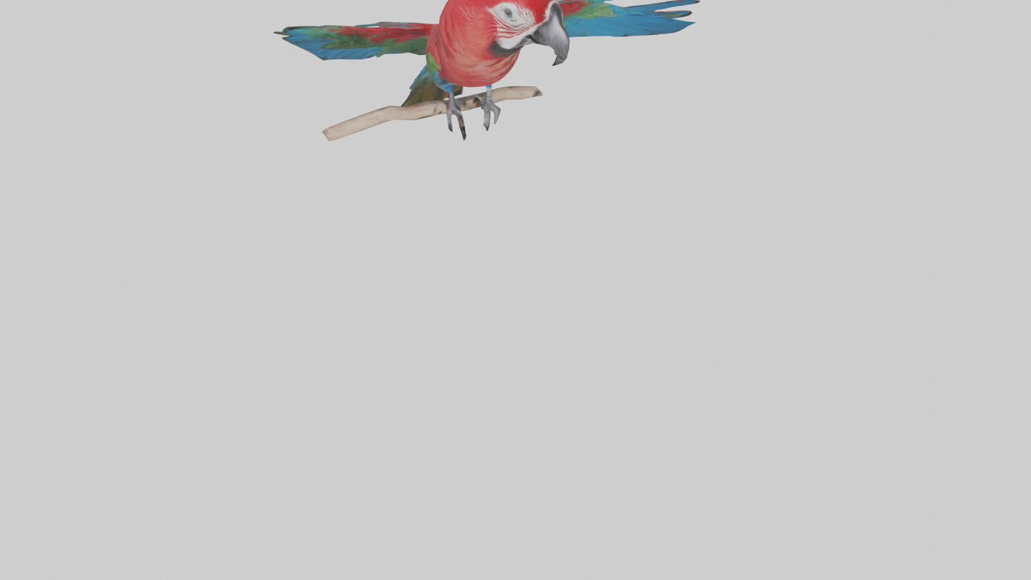Greenwinged Macaw perched model VR / AR / low-poly