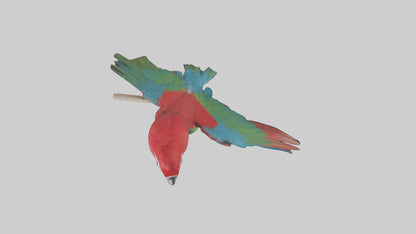 Greenwinged Macaw perched model VR / AR / low-poly