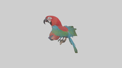 Greenwinged Macaw perched model VR / AR / low-poly