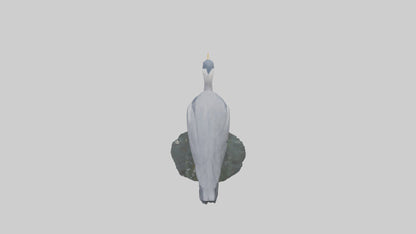 3D model Grey Heron fishing model VR / AR / low-poly