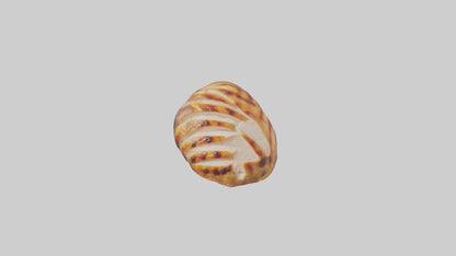 3D model Grilled chicken breast model VR / AR / low-poly