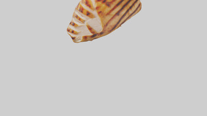 3D model Grilled chicken breast model VR / AR / low-poly