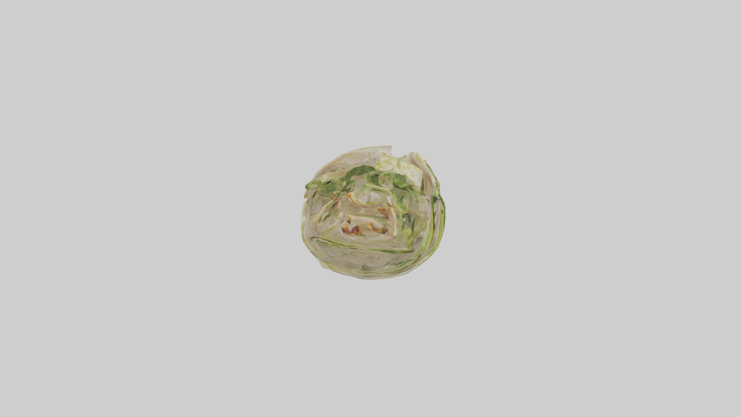 3D model Grilled chicken Caesar wrap model VR / AR / low-poly