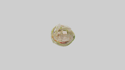 3D model Grilled chicken Caesar wrap model VR / AR / low-poly