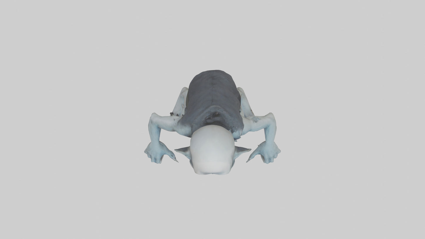 3D model Grim ghoul model VR / AR / low-poly