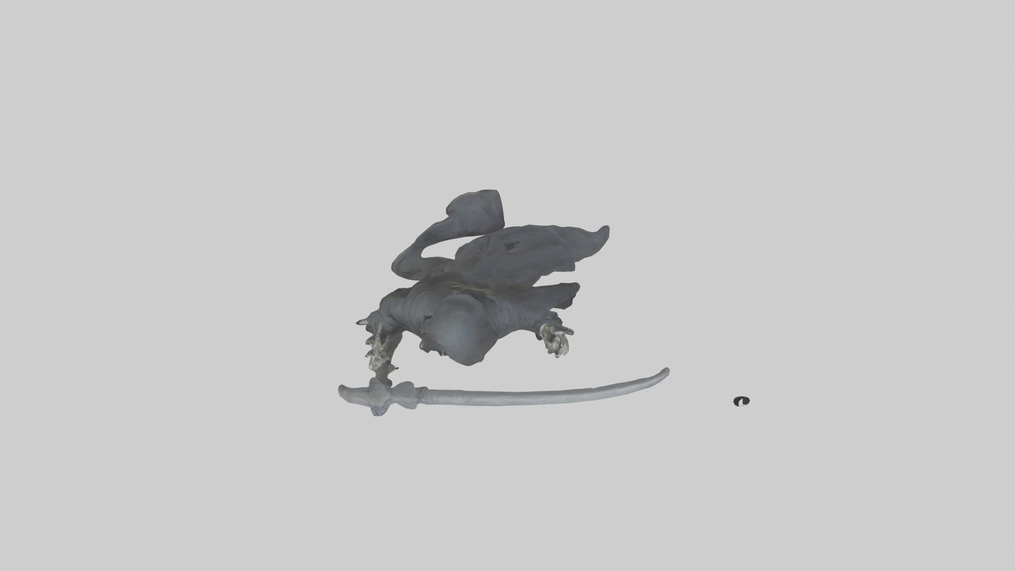 3D model Grim Reaper model VR / AR / low-poly