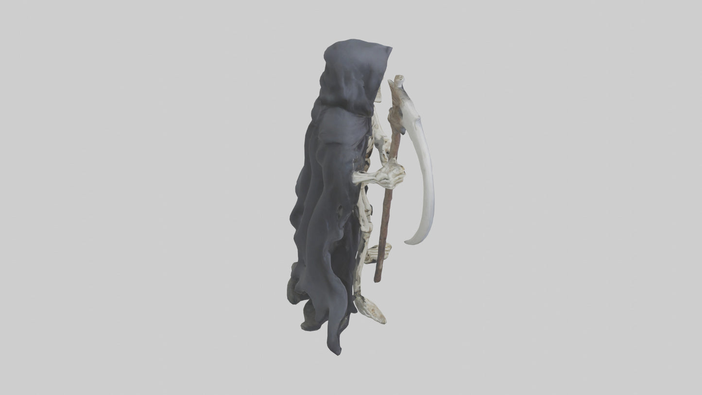 3D model Grim reaper skeleton model VR / AR / low-poly