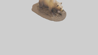 3D model Grizzly Bear digging model VR / AR / low-poly