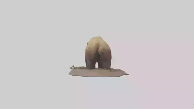 3D model Grizzly Bear digging model VR / AR / low-poly