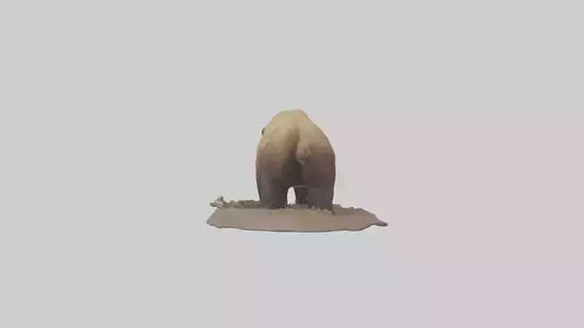 3D model Grizzly Bear digging model VR / AR / low-poly