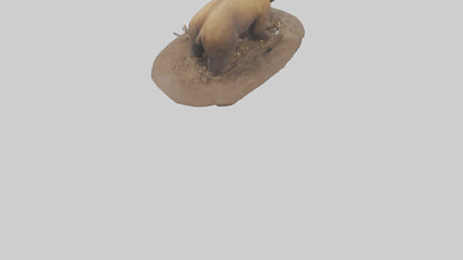 3D model Grizzly Bear digging model VR / AR / low-poly