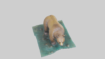 3D model Grizzly Bear fishing model VR / AR / low-poly