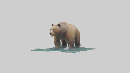 3D model Grizzly Bear fishing model VR / AR / low-poly