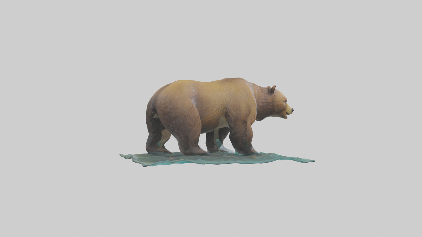 3D model Grizzly Bear fishing model VR / AR / low-poly